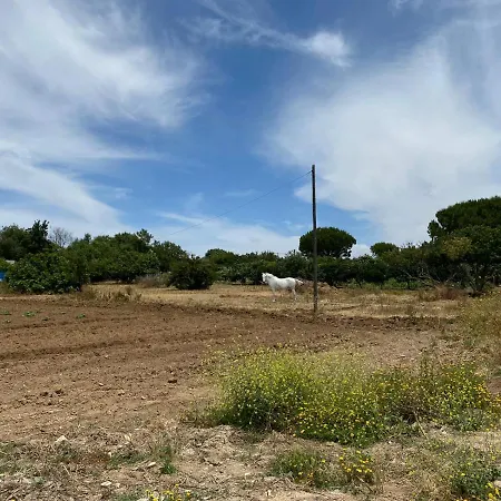 Chiclana Mobile House - Piscina , Wi-fi, Relax Farm stay